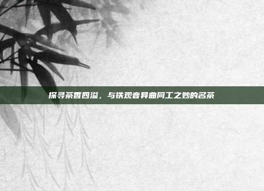 探寻茶香四溢，与铁观音异曲同工之妙的名茶