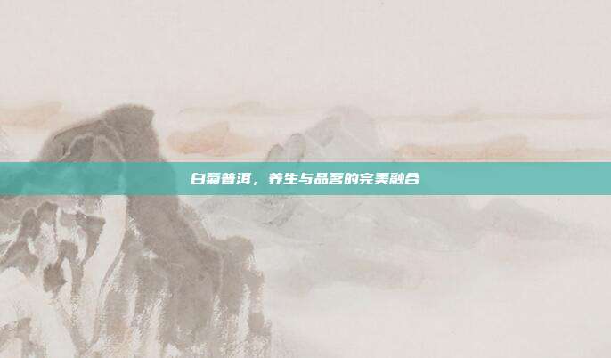 白菊普洱，养生与品茗的完美融合