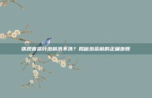 铁观音茶叶泡前洗不洗？揭秘泡茶前的正确步骤