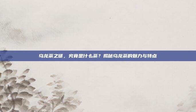 乌龙茶之谜，究竟是什么茶？揭秘乌龙茶的魅力与特点