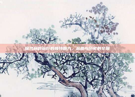 探寻枞龄茶叶的独特魅力，品质与历史的交融