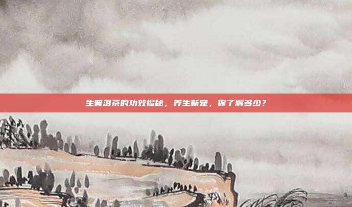 生普洱茶的功效揭秘，养生新宠，你了解多少？