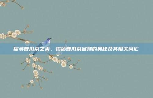 探寻普洱茶之美，揭秘普洱茶名称的奥秘及其相关词汇