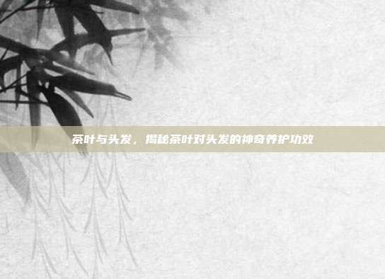 茶叶与头发，揭秘茶叶对头发的神奇养护功效