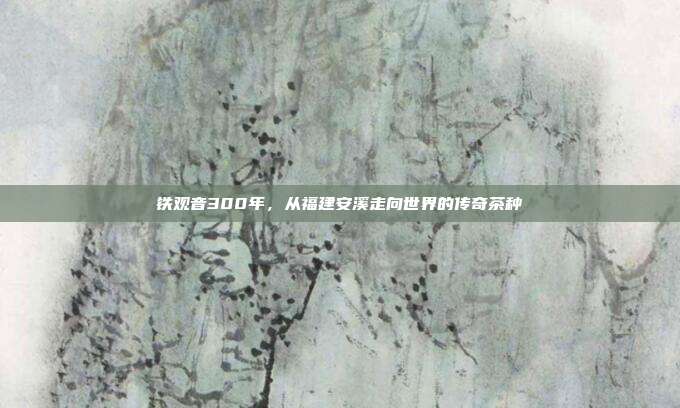 铁观音300年，从福建安溪走向世界的传奇茶种