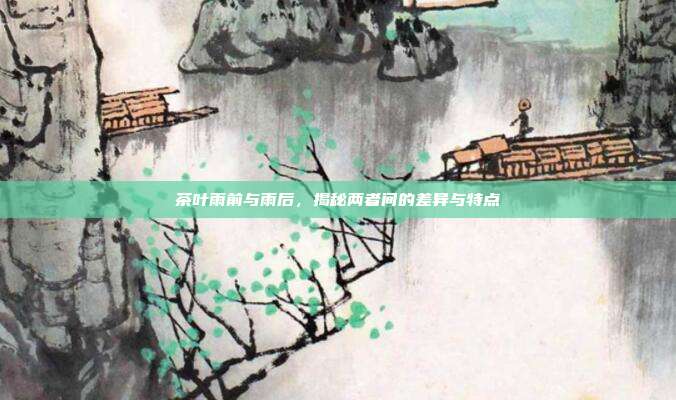茶叶雨前与雨后，揭秘两者间的差异与特点