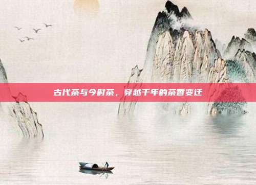 古代茶与今时茶，穿越千年的茶香变迁