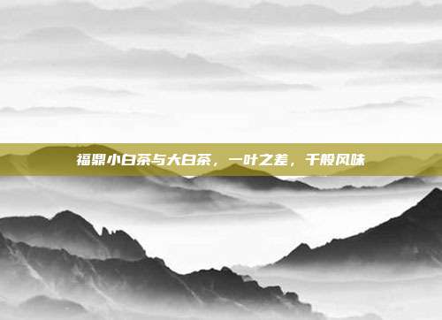 福鼎小白茶与大白茶，一叶之差，千般风味