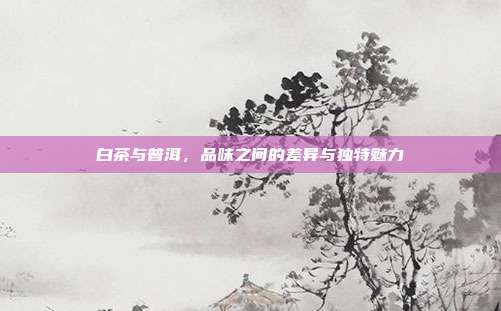 白茶与普洱，品味之间的差异与独特魅力
