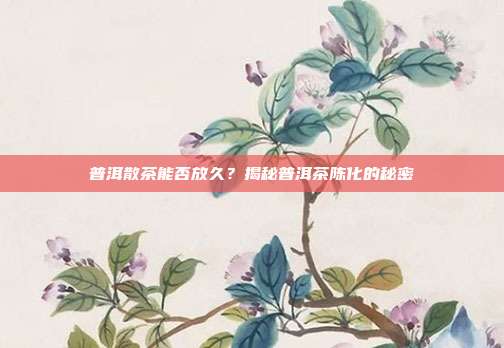 普洱散茶能否放久？揭秘普洱茶陈化的秘密