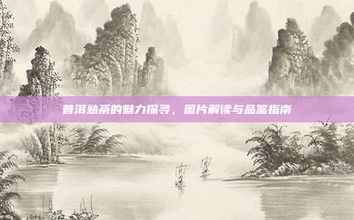 普洱熟茶的魅力探寻，图片解读与品鉴指南