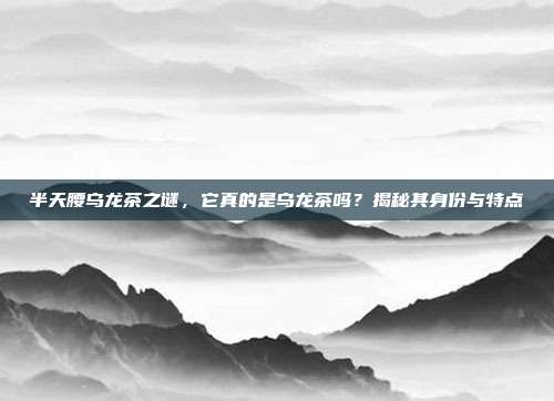 半天腰乌龙茶之谜，它真的是乌龙茶吗？揭秘其身份与特点