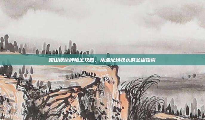 崂山绿茶种植全攻略，从选址到收获的全程指南