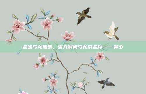 品味乌龙佳韵，深入解析乌龙茶品种——青心