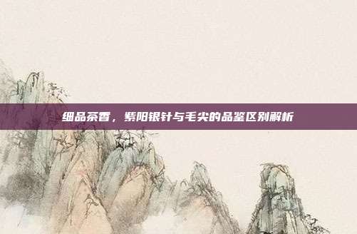 细品茶香，紫阳银针与毛尖的品鉴区别解析