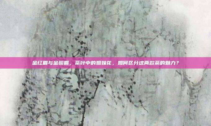 金红眉与金骏眉，茶叶中的姐妹花，如何区分这两款茶的魅力？