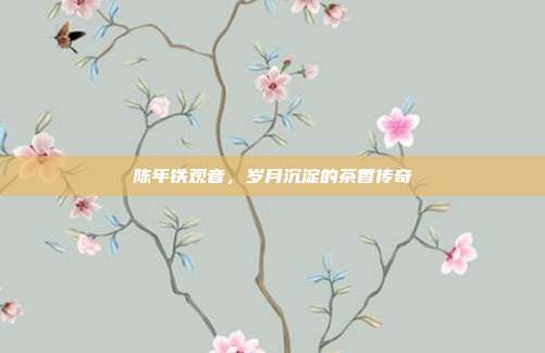 陈年铁观音，岁月沉淀的茶香传奇