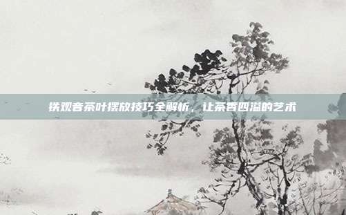 铁观音茶叶摆放技巧全解析，让茶香四溢的艺术
