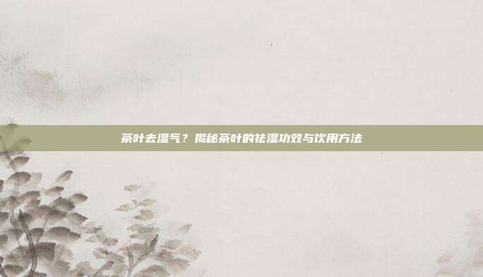 茶叶去湿气？揭秘茶叶的祛湿功效与饮用方法