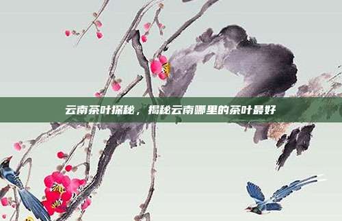 云南茶叶探秘，揭秘云南哪里的茶叶最好
