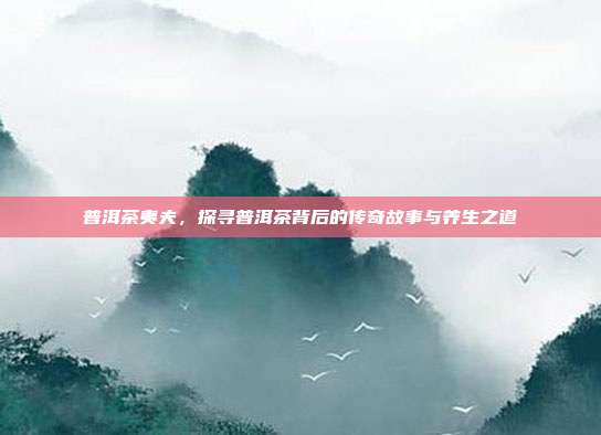 普洱茶夷夫，探寻普洱茶背后的传奇故事与养生之道