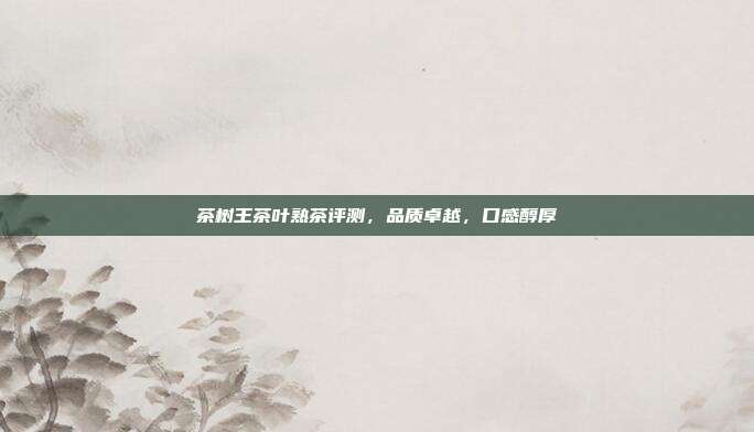 茶树王茶叶熟茶评测，品质卓越，口感醇厚