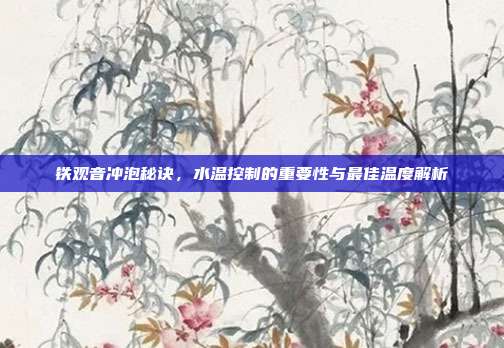 铁观音冲泡秘诀，水温控制的重要性与最佳温度解析