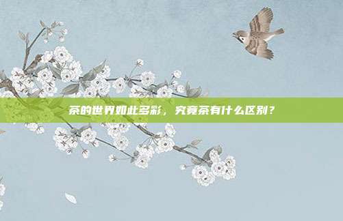 茶的世界如此多彩，究竟茶有什么区别？