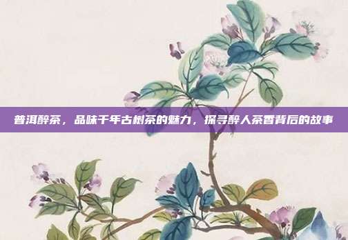 普洱醉茶，品味千年古树茶的魅力，探寻醉人茶香背后的故事