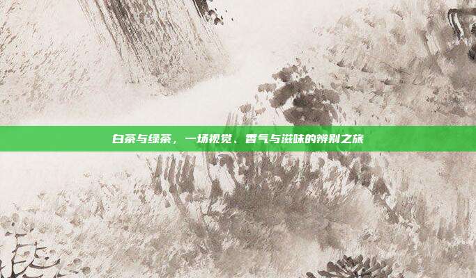 白茶与绿茶，一场视觉、香气与滋味的辨别之旅