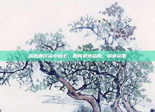 铁观音饮茶小贴士，如何避免茶醉，尽享茶香