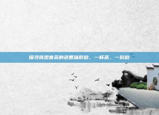 探寻铁观音茶的色香味形韵，一杯茶，一份韵