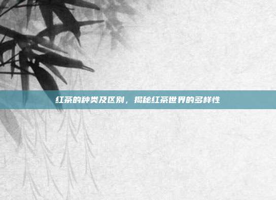 红茶的种类及区别，揭秘红茶世界的多样性