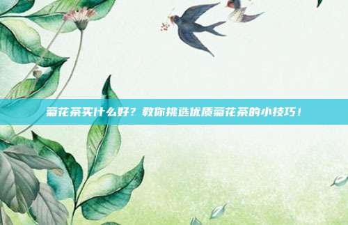 菊花茶买什么好？教你挑选优质菊花茶的小技巧！