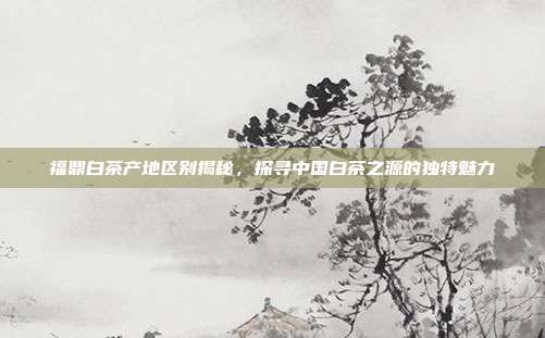 福鼎白茶产地区别揭秘，探寻中国白茶之源的独特魅力