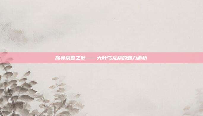 探寻茶香之源——大叶乌龙茶的魅力解析
