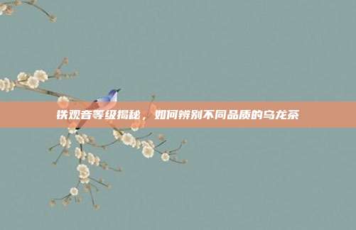 铁观音等级揭秘，如何辨别不同品质的乌龙茶