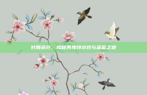 针酶茶叶，揭秘其独特功效与品鉴之道
