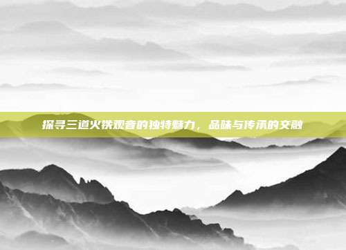 探寻三道火铁观音的独特魅力，品味与传承的交融