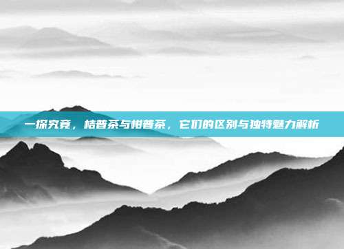 一探究竟,桔普茶与柑普茶,它们的区别与独特魅力解析