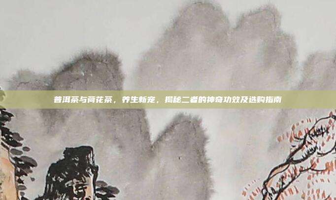 普洱茶与荷花茶，养生新宠，揭秘二者的神奇功效及选购指南