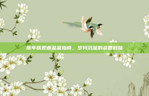 陈年铁观音品鉴指南，岁月沉淀的茶香韵味