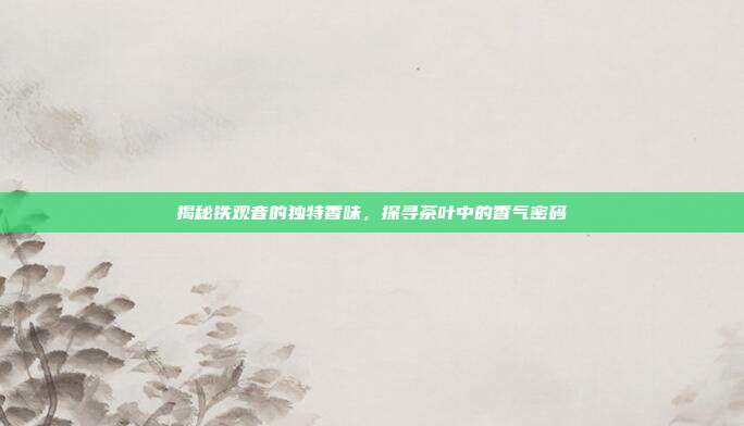 揭秘铁观音的独特香味，探寻茶叶中的香气密码