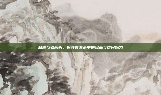 熟普与老茶头，探寻普洱茶中的珍品与岁月魅力