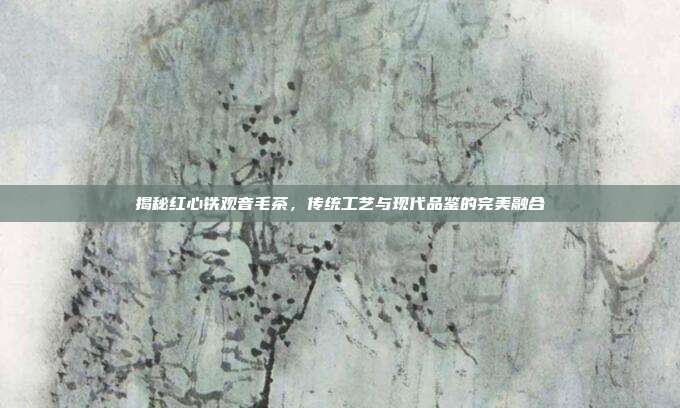 揭秘红心铁观音毛茶，传统工艺与现代品鉴的完美融合