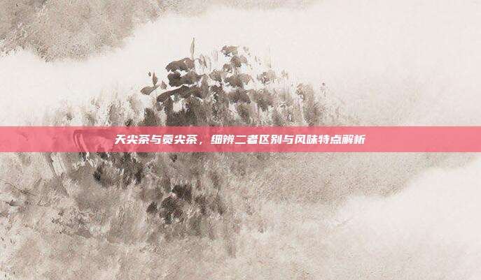 天尖茶与贡尖茶，细辨二者区别与风味特点解析