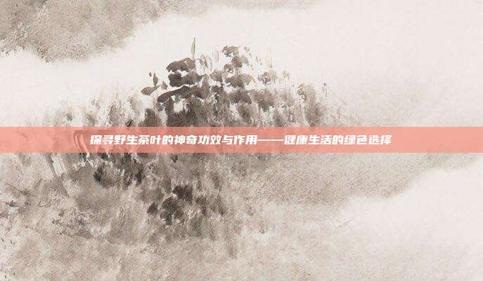 探寻野生茶叶的神奇功效与作用——健康生活的绿色选择
