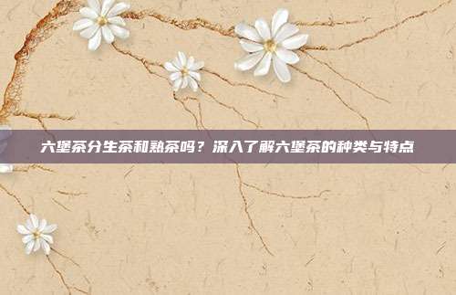 六堡茶分生茶和熟茶吗？深入了解六堡茶的种类与特点
