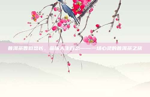 普洱茶香韵悠长，品味人生百态——一场心灵的普洱茶之旅