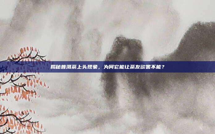 揭秘普洱茶上头现象，为何它能让茶友欲罢不能？